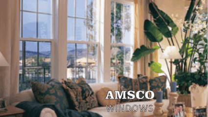 Amsco Windows